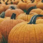 Pumpkins representing October food trends