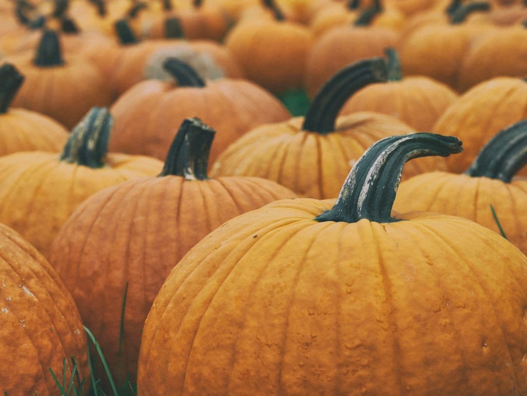 Pumpkins representing October food trends
