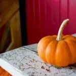 Pumpkin autumn food trend